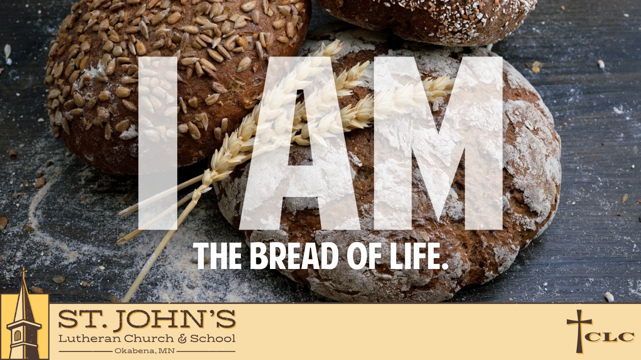Read more about the article 4th Sunday of Lent – March 30, 2025