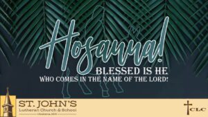 Read more about the article Palm Sunday – April 13, 2025