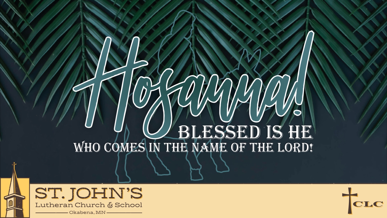 Read more about the article Palm Sunday – April 13, 2025