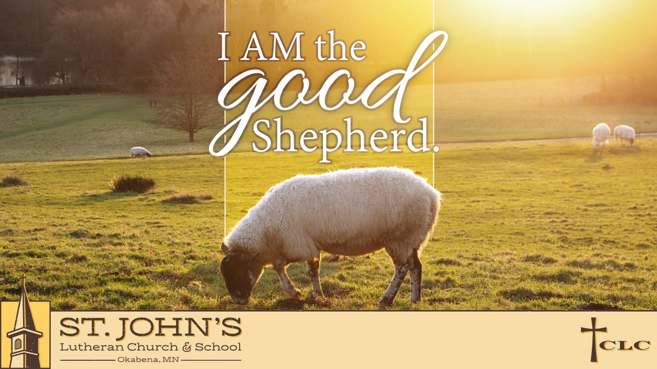 Read more about the article 3rd Sunday of Easter – May 4, 2025
