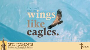 Read more about the article 4th Sunday of Easter – May 11, 2025