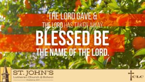 Read more about the article 7th Sunday after Trinity – August 3, 2025