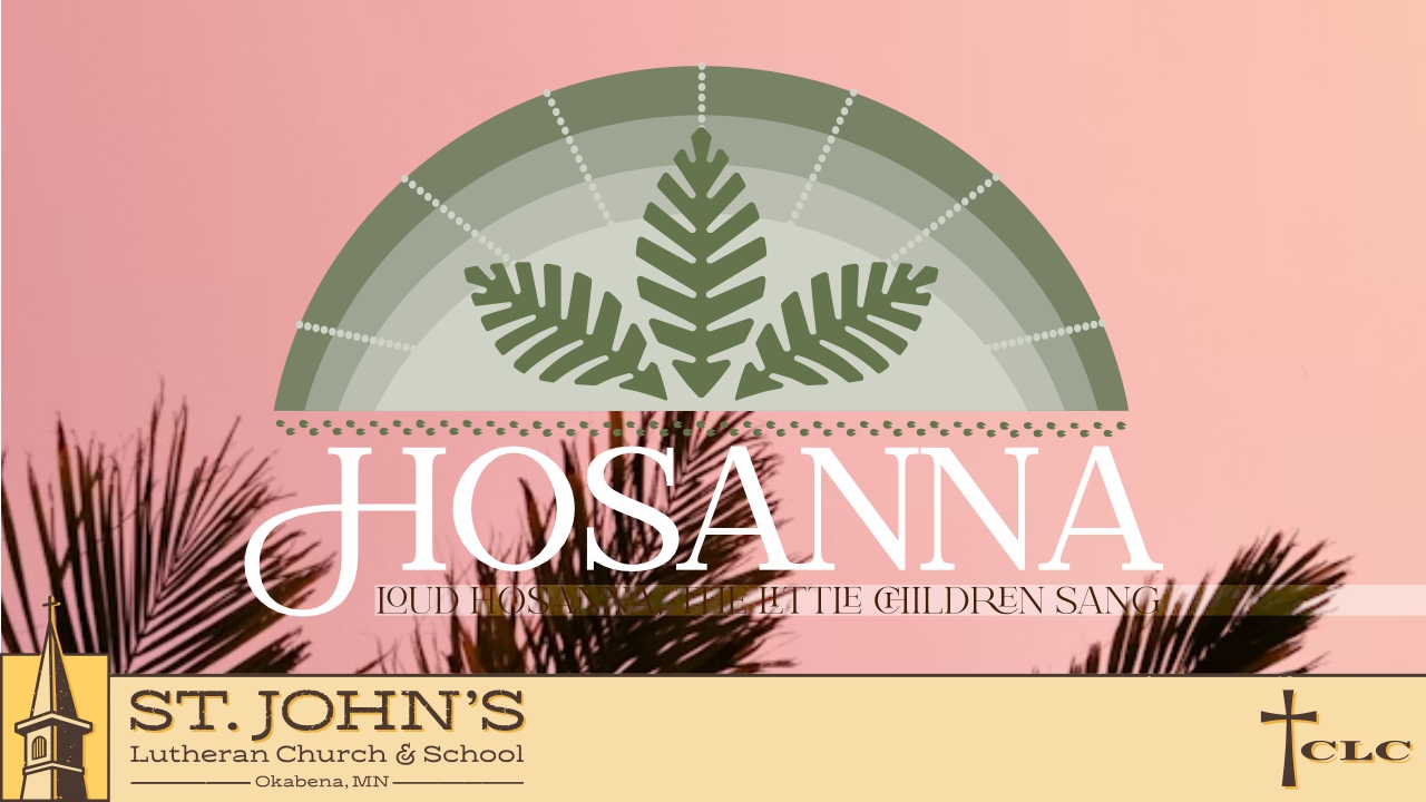 Read more about the article Palm Sunday/Confirmation Sunday Service – March 29, 2026