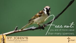 Read more about the article 3rd Sunday after Trinity Service – June 21, 2026