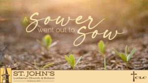 Read more about the article 6th Sunday after Trinity Service – July 12, 2026