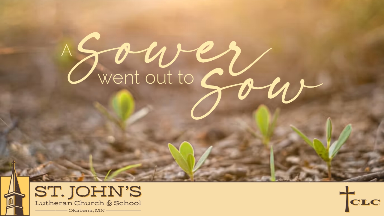 Read more about the article 6th Sunday after Trinity Service – July 12, 2026
