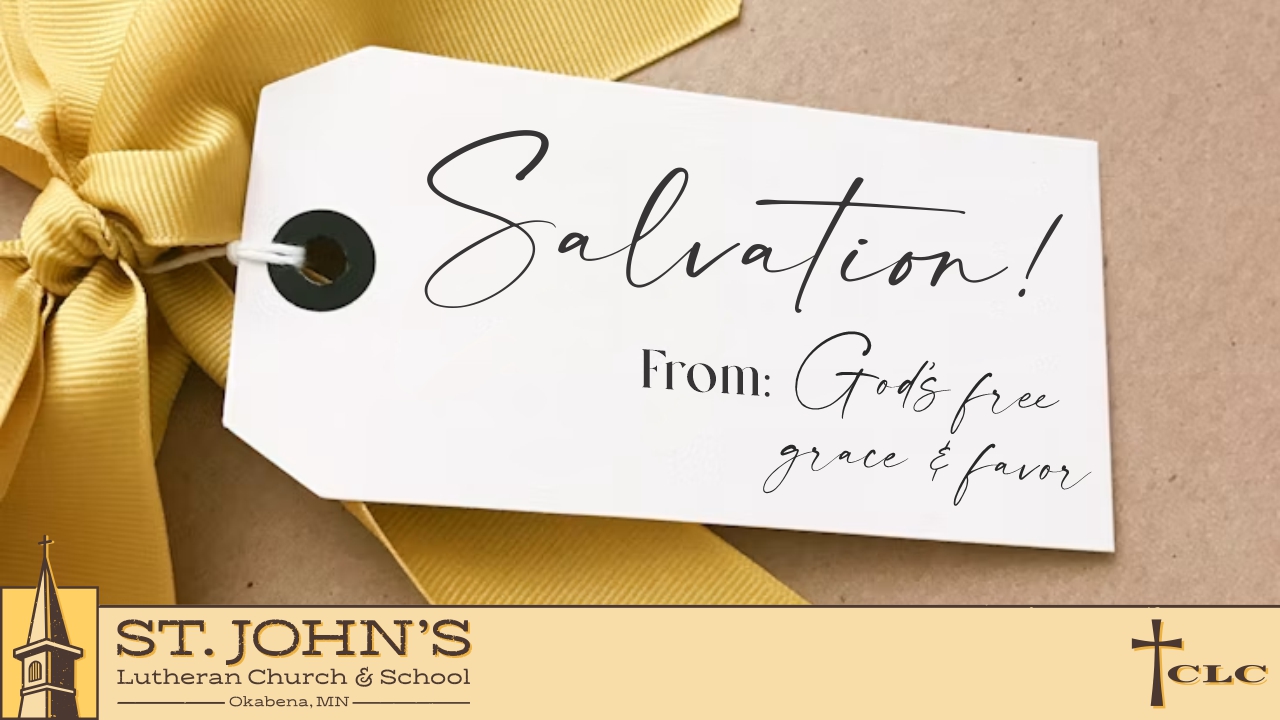 Read more about the article 17th Sunday after Trinity Service – September 27, 2026